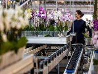 Waarom naar Service Leadership Summit?