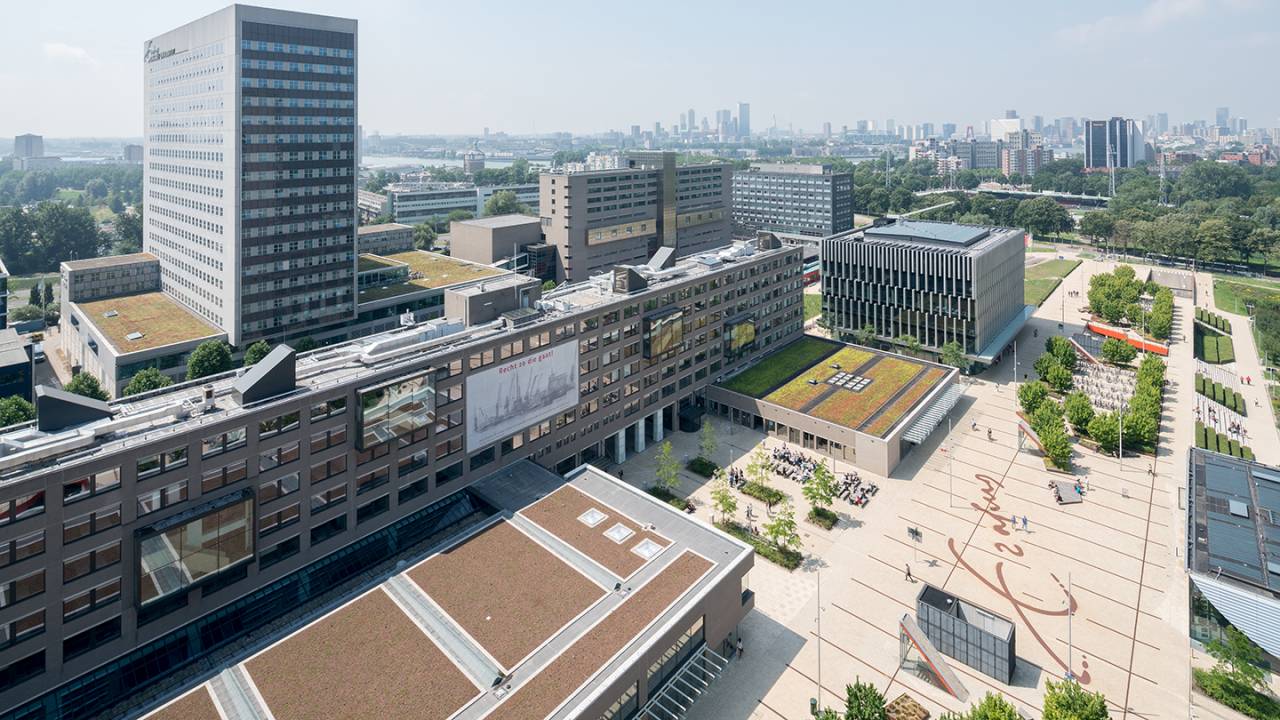 Erasmus.jpg Erasmus.jpg