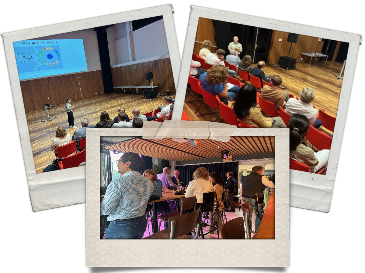 collage.png collage.png